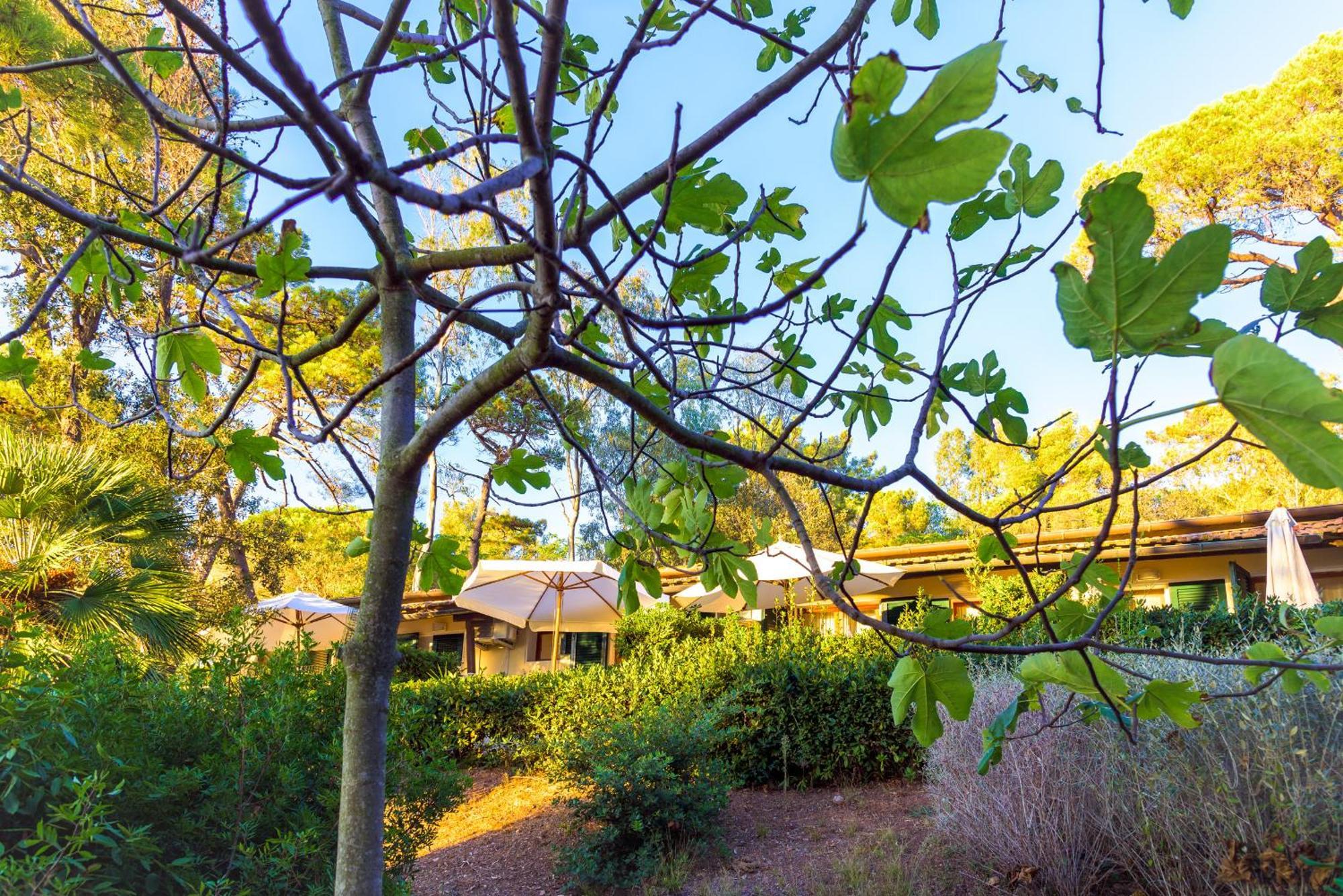 Hotel Villa Ottone Portoferraio Kültér fotó